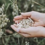 Which Meditation App Is Best for You? Top 5 Compared