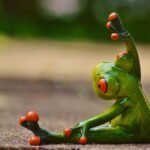 The Resilience Reset: Rewire Your Brain for Greater Mental Strength